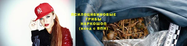 тгк Баксан