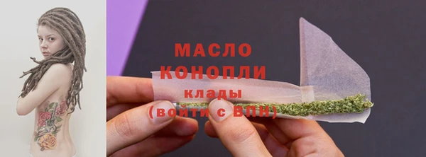 прущий лед Богданович