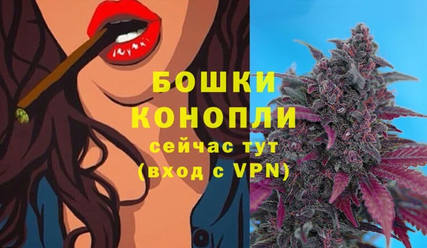 крисы Белокуриха