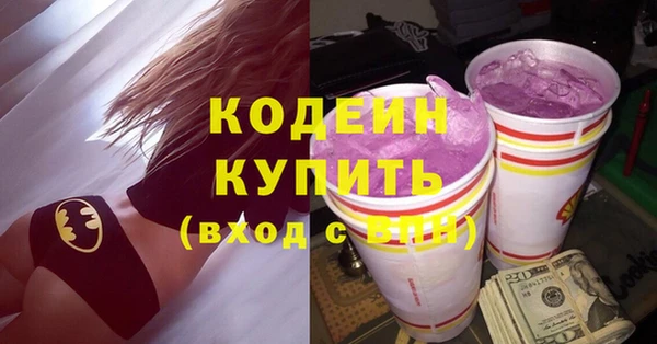 прущий лед Богданович