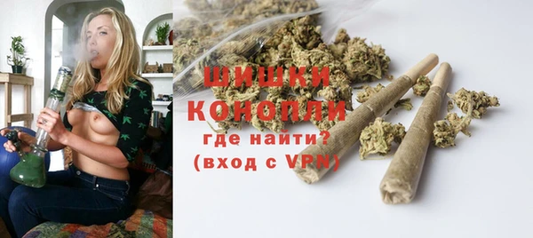 прущий лед Богданович