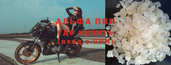 PSILOCYBIN Нея