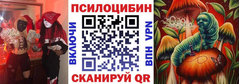 Галлюциногенные грибы Psilocybine cubensis blacksprut ССЫЛКА маркетплейс состав как найти закладки Борзя
